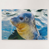 アシカ ジグソーパズル (横)