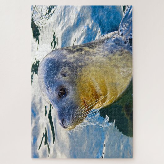 アシカ ジグソーパズル (縦)