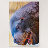 アシカ ジグソーパズル (縦)