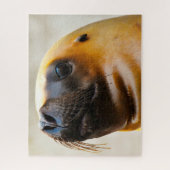 アシカ ジグソーパズル (縦)