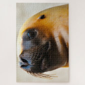 アシカ ジグソーパズル (縦)