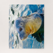 アシカ ジグソーパズル (縦)