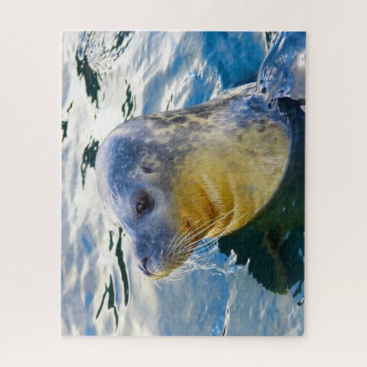 アシカ ジグソーパズル (縦)