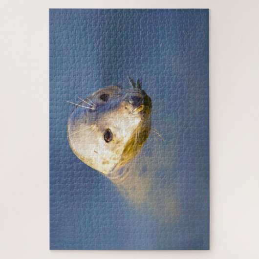 アシカ ジグソーパズル (縦)