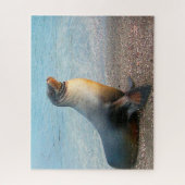 アシカ ジグソーパズル (縦)