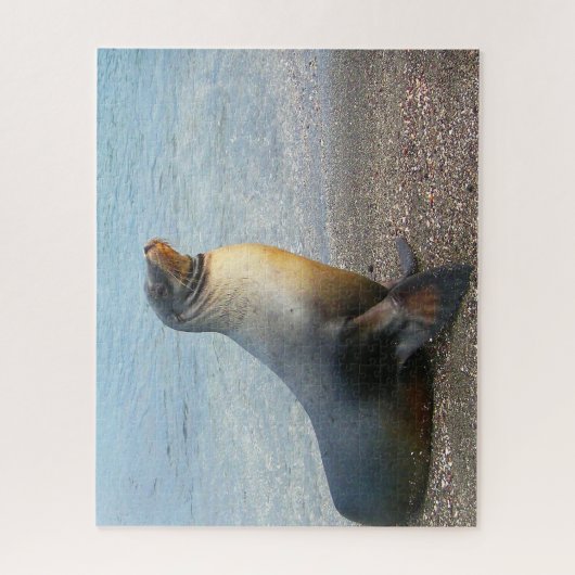 アシカ ジグソーパズル (縦)