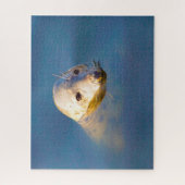 アシカ ジグソーパズル (縦)