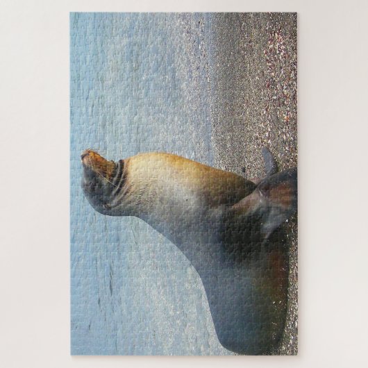 アシカ ジグソーパズル (縦)