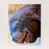 アシカ ジグソーパズル (縦)
