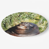 アシカ ペーパープレート (アングル)