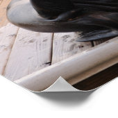 アシカ ポスター (角)