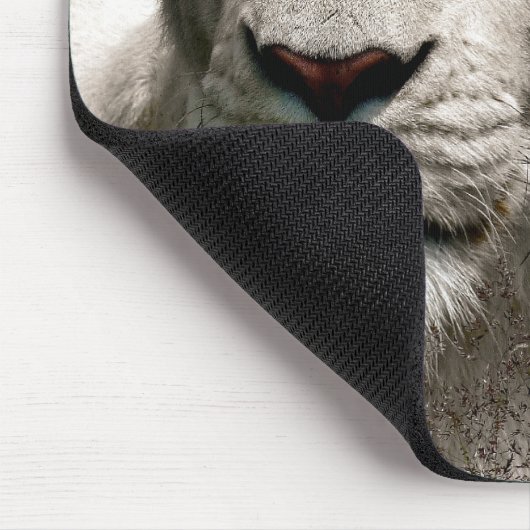 アシカ マウスパッド (コーナー)