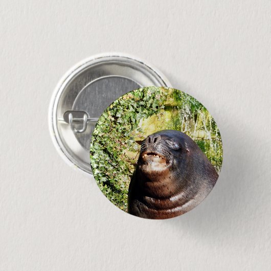 アシカ 缶バッジ (正面&裏面)