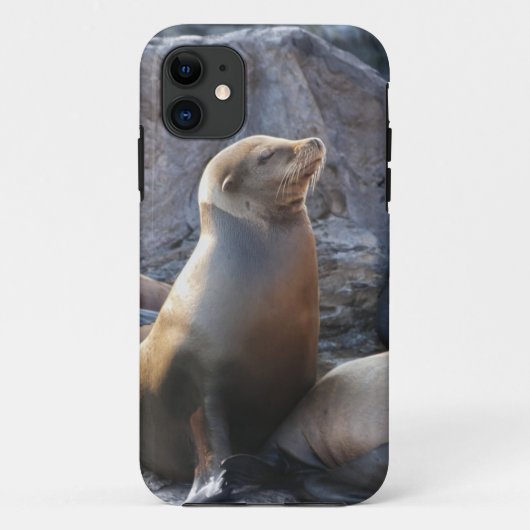 アシカ Case-Mate iPhoneケース (裏面)