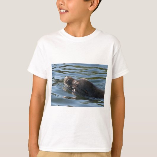 アシカ Tシャツ (正面)