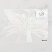 アシシの引用文はがき ポストカード (裏面)