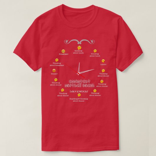 アシスタントソフトボールコーチニースデザイン2017 Tシャツ (デザイン正面)