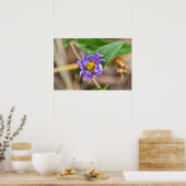 アシッドワイルドフラワーのポスターのシクムバーカブトムシ ポスター (キッチン)