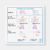 アシドーシス対アルカローシス磁石（非可撓性） マグネット (正面)