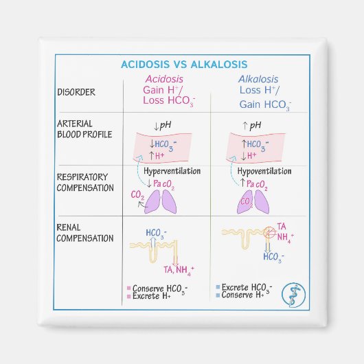 アシドーシス対アルカローシス磁石（非可撓性） マグネット (正面)