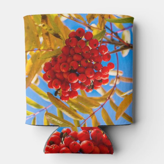 アシュベリー 缶クーラー (裏面)