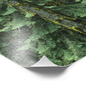 アシュランド山、ローグ・リバー国有林 フォトプリント            (角)