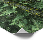 アシュランド山、ローグ・リバー国有林 ポスター (角)