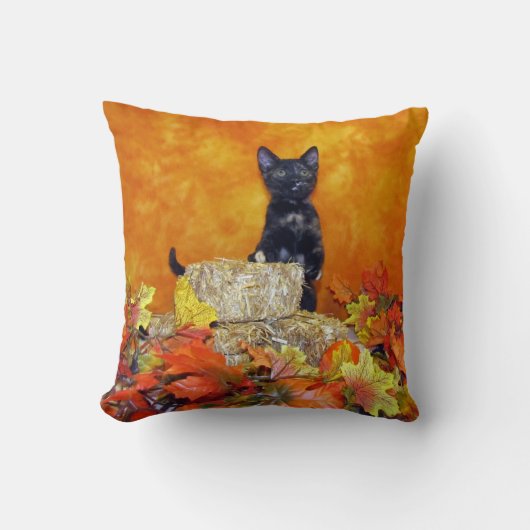 アシュリン秋枕（猫/子猫） クッション (正面)