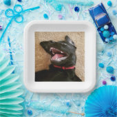 アシュリーノムスプレート ペーパープレート (パーティー)