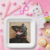 アシュリーノムスプレート ペーパープレート (パーティー)