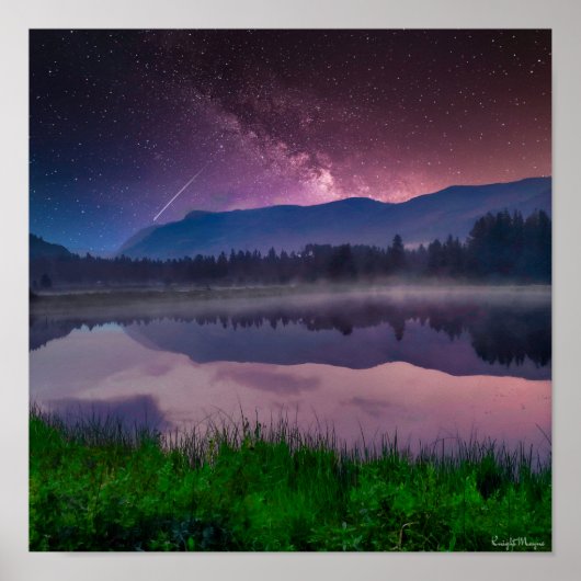 アシュリー国有林 ポスター (正面)