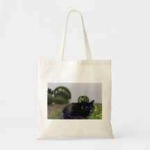 アショカを思い出す