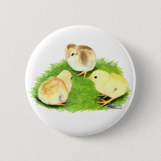 アシール・ホイートンひよこ 缶バッジ (正面)