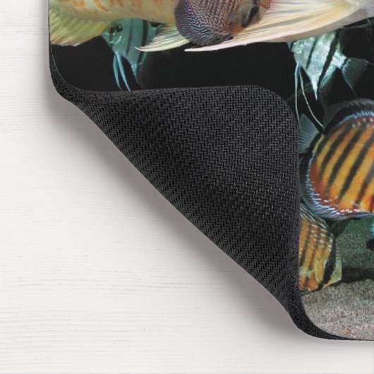 アジアとの魚 マウスパッド (コーナー)