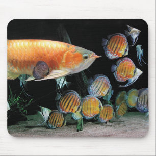 アジアとの魚 マウスパッド