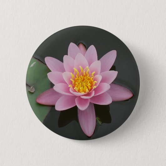 アジアのはすの花 缶バッジ (正面)