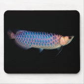 アジアのアローワナのマウスパッド「ブルータイプ」 マウスパッド (正面)