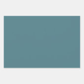 アジアのカワセミ ラッピングペーパーシート (正面3)