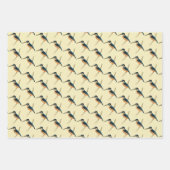 アジアのカワセミ ラッピングペーパーシート (正面2)