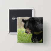 アジアのツキノワグマPin 缶バッジ (正面&裏面)