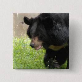 アジアのツキノワグマPin 缶バッジ