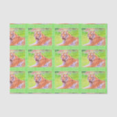 アジアのトラ ティッシュペーパー ありがとう 薄葉紙 (正面)
