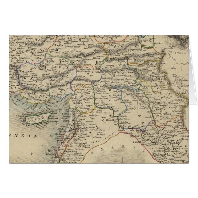 アジアのトルコ (正面横)