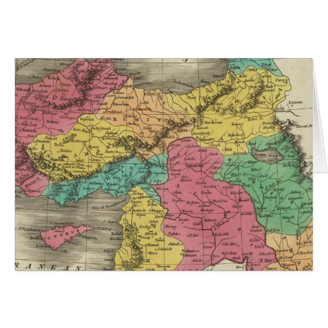 アジアのトルコ3 (正面横)