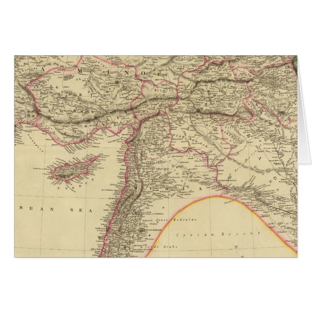 アジアのトルコ3 (正面横)