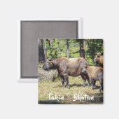 アジアのブータンの国産動物タキン科 マグネット (正面/裏面)