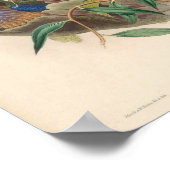 アジアのヴィンテージのインドシナのローラバード ポスター (角)