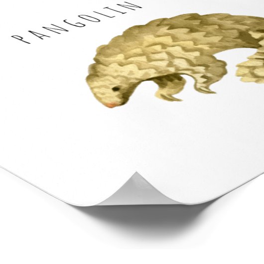 アジアの動物 | 教育学習教室 ポスター (角)