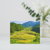 アジアの山々に広がる稲作 ポストカード (スタンド正面)