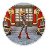 アジアの戦士乙女 ファンタジーサムライアート セラミックノブ (正面)